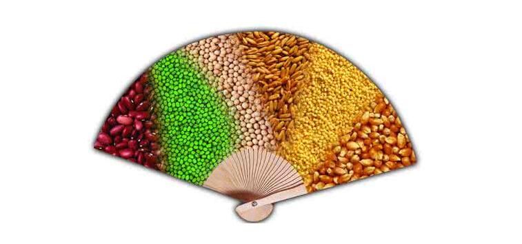 劍龍糧油 劍龍糧油